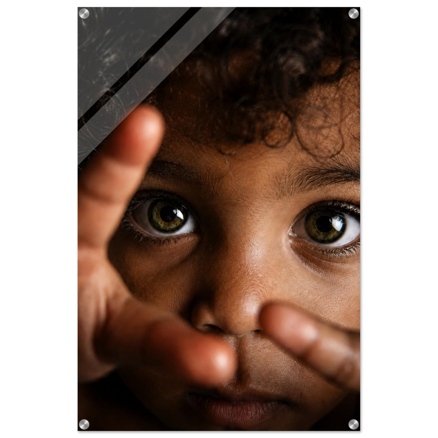 Little Wonder Acrylic Print Fine-Art Close-Up